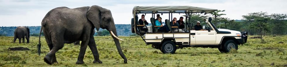 Kenya safari masai mara joining safaris