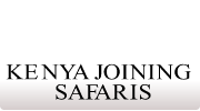 Kenya Joining safaris
